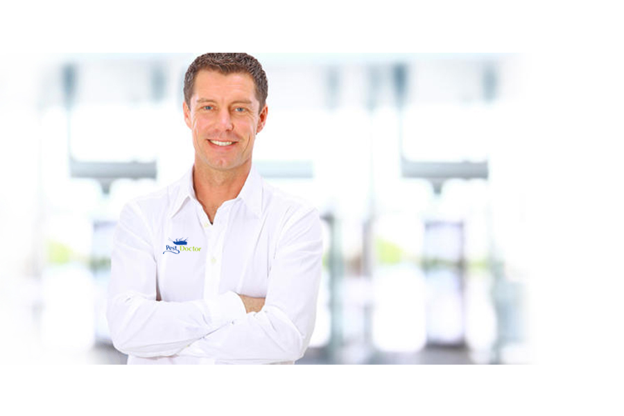 Pest Doctor service technician